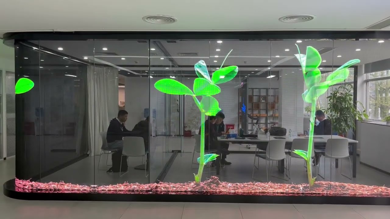 led film trasparente